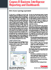 IBM Cognos sample by pens4hire professional copywriters